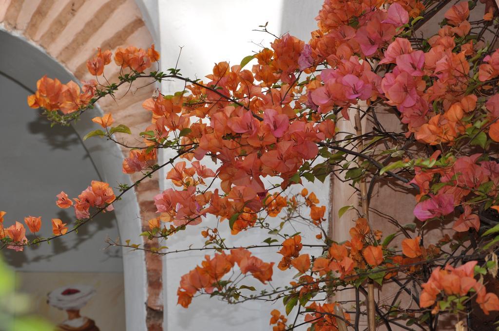 Ryad Dar Ganou Marrakesh Bagian luar foto