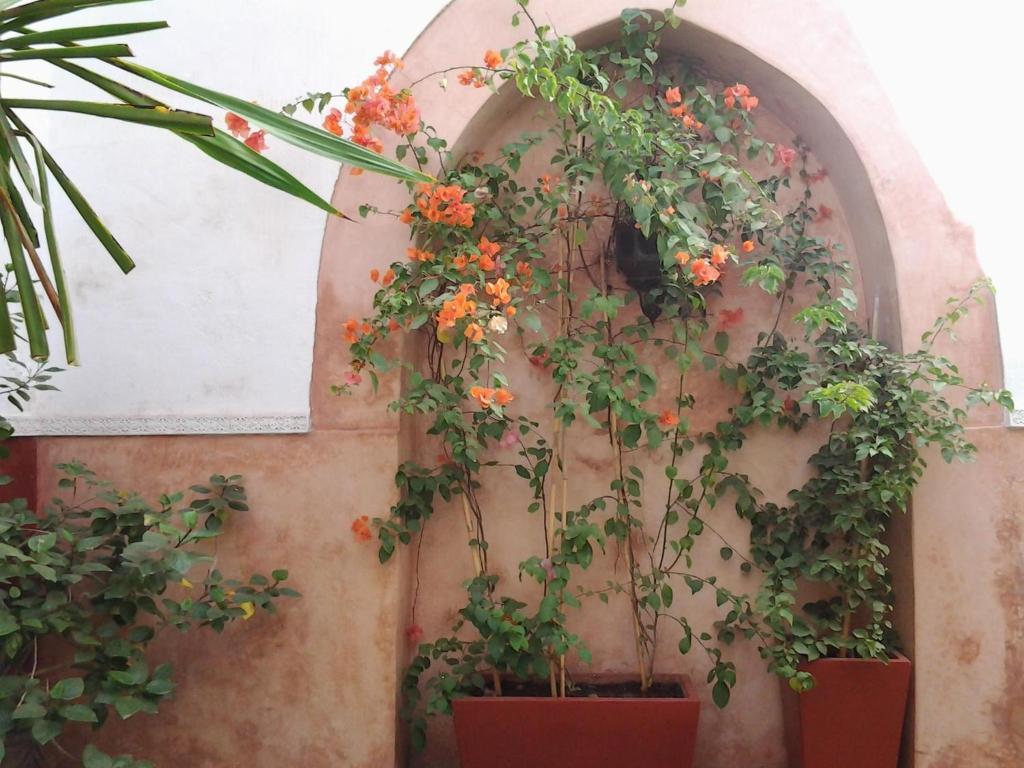 Ryad Dar Ganou Marrakesh Bagian luar foto