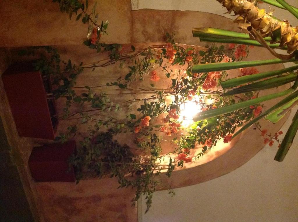 Ryad Dar Ganou Marrakesh Bagian luar foto